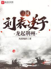 妻弟诸葛亮