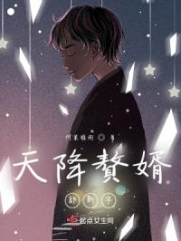 天降赘婿郭斯宇