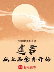 道君：从上品金丹开始