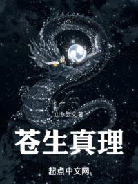 承天之传