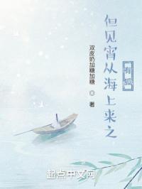但见宵从海上来之有狐