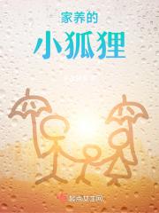 家养的小狐狸