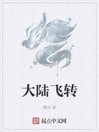大陆飞转