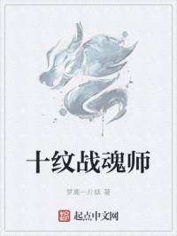 十纹战魂师